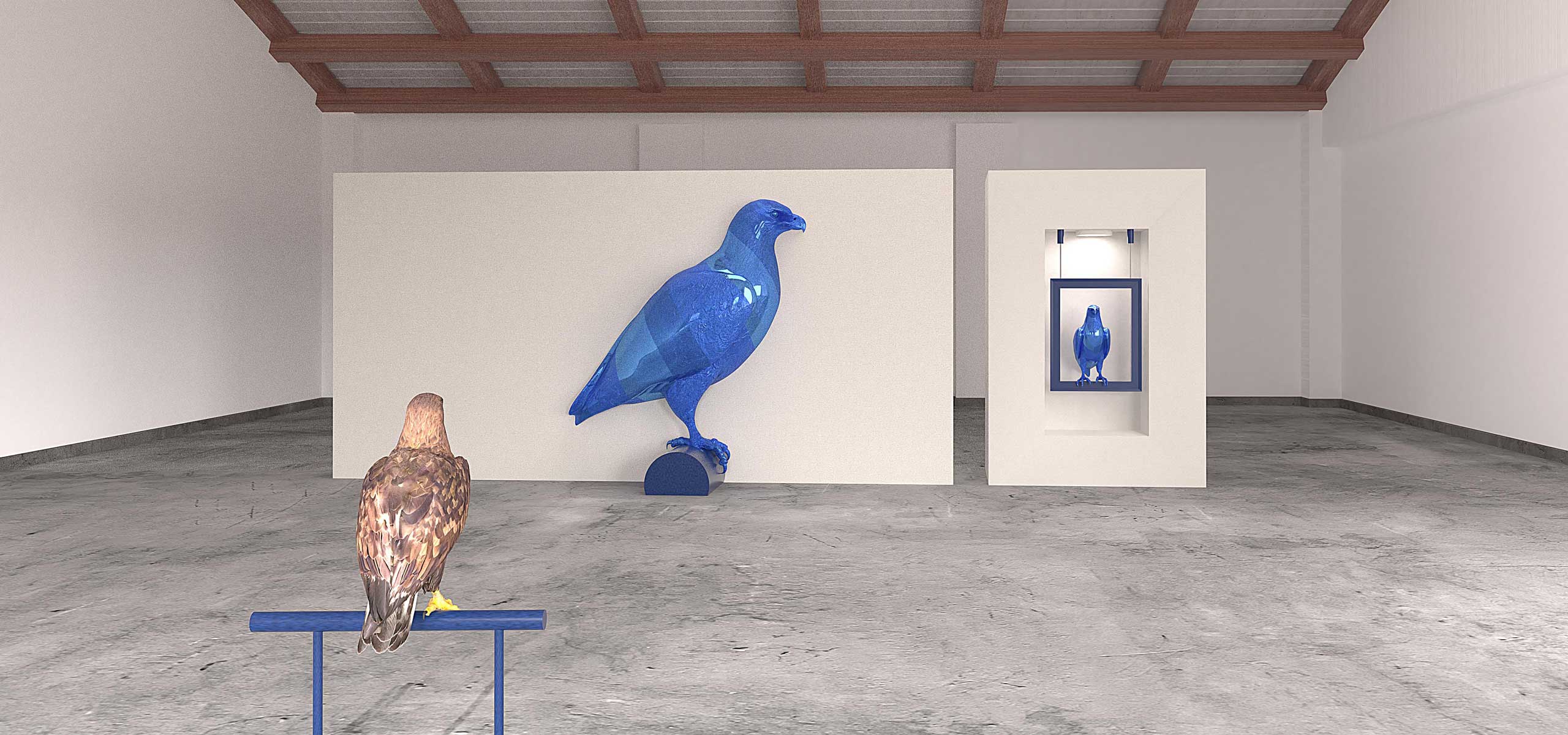 Alpha_Finanzplanung_Adler_Beobachter_2560